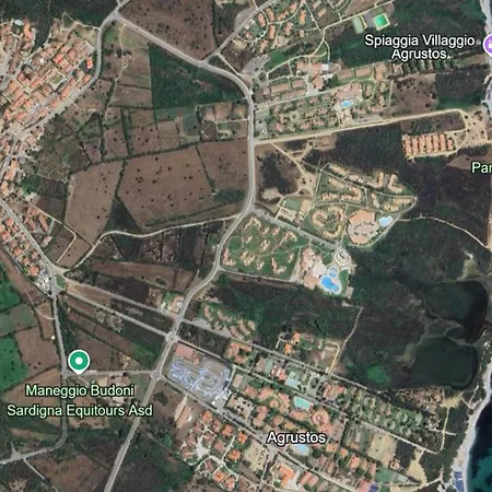 Daire Casa Arborea